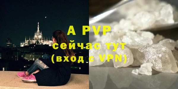 гидра Ростов